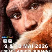 Salon Minéraux Fossiles Cristaux Bijoux Gemmes + Expo l’Histoire de nos Ancêtres