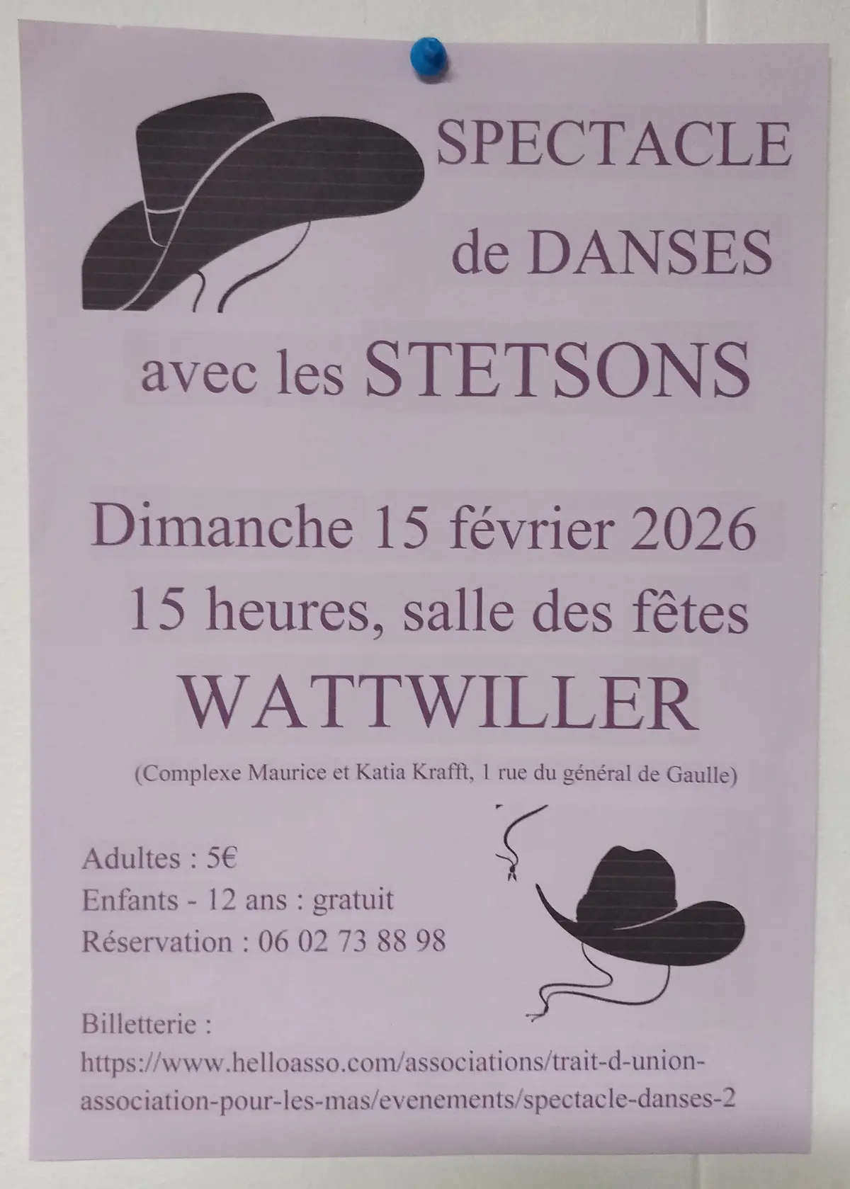 Spectacle de danse country, celtique, irlandaise avec les STETSONS