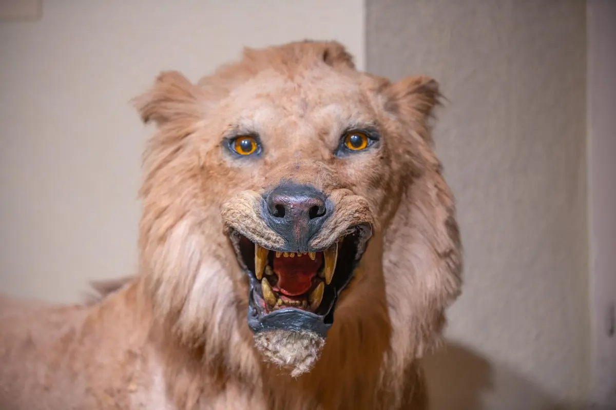 Doux mais pas doudou