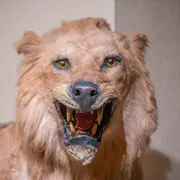 Doux mais pas doudou