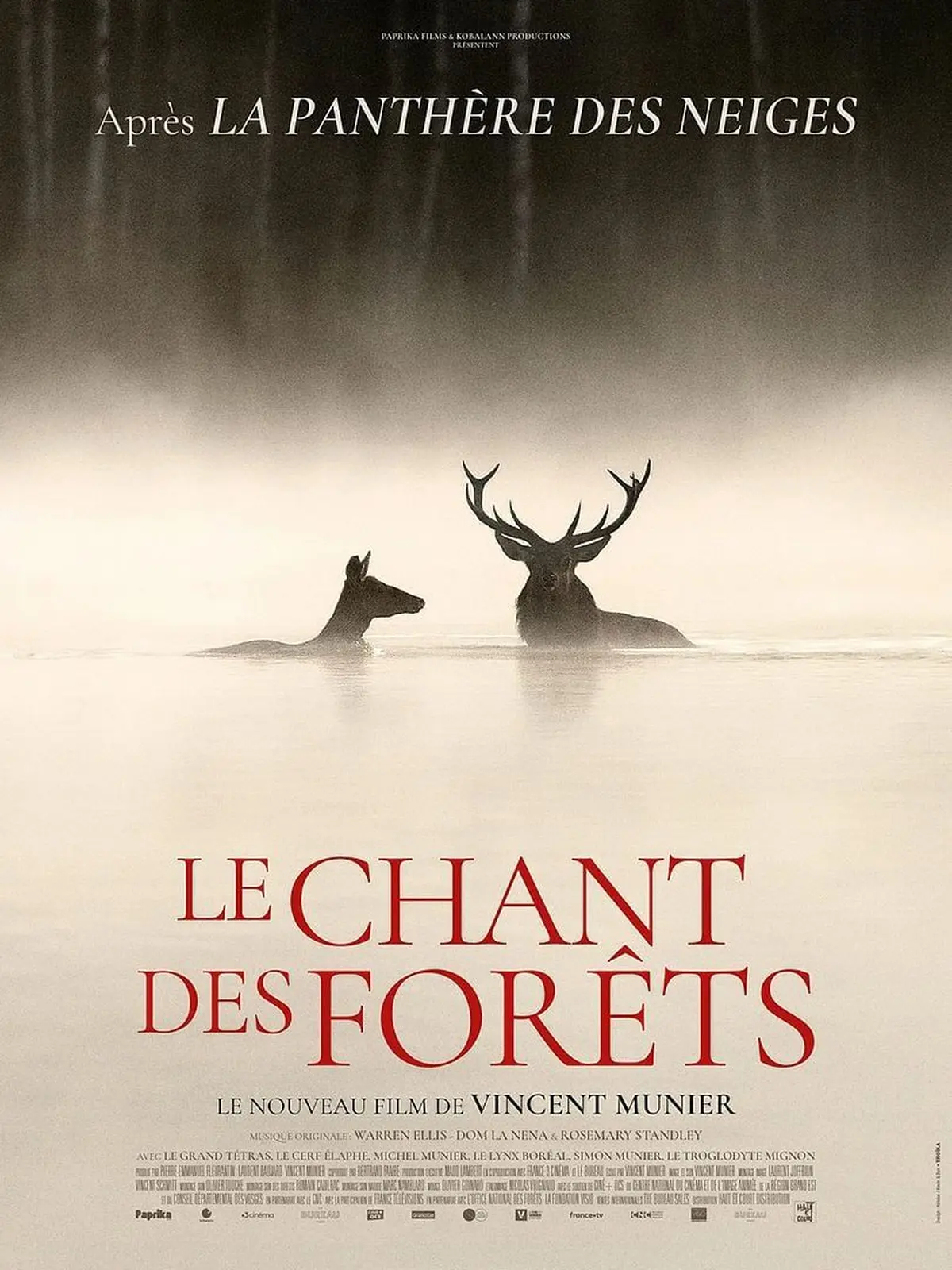 Cinéma : Le Chant des forêts