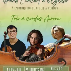 À l’ombre du quatuor à cordes LES GRANDS TRIOS À CORDES