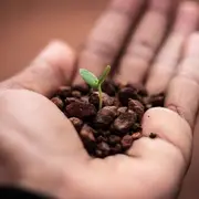 Bouturothèque : troc de plantes et de boutures à la bibliothèque du Drouot