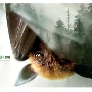 Festival Lire la nature 