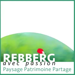 Concours de nouvelles
