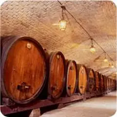 Cave historique des Hospices de Strasbourg
