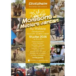 Fete de la Moisson et des métiers d Antan 