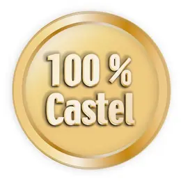 Le Castel - Châteaubernard
