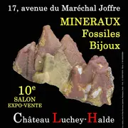 10e SALON Minéraux Fossiles Bijoux de MERIGNAC (Gironde)