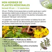 Mon herbier de plantes médicinales 