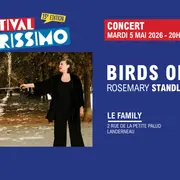 Festival Culturissimo - Birds On A Wire 