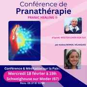 L'énergie vitale : la comprendre et agir avec elle - Conférence de Pranathérapie