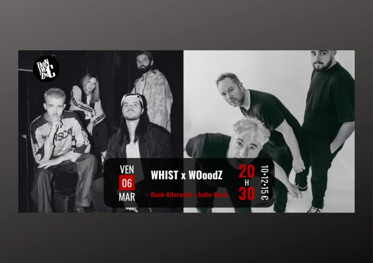 Concert WOoodZ x Whist au Brin de Zinc (73)