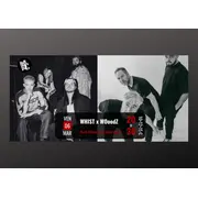 Concert WOoodZ x Whist au Brin de Zinc (73)