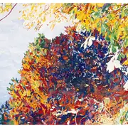 Jean-Paul Agosti, Jardin miroir