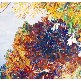 Jean-Paul Agosti, Jardin miroir