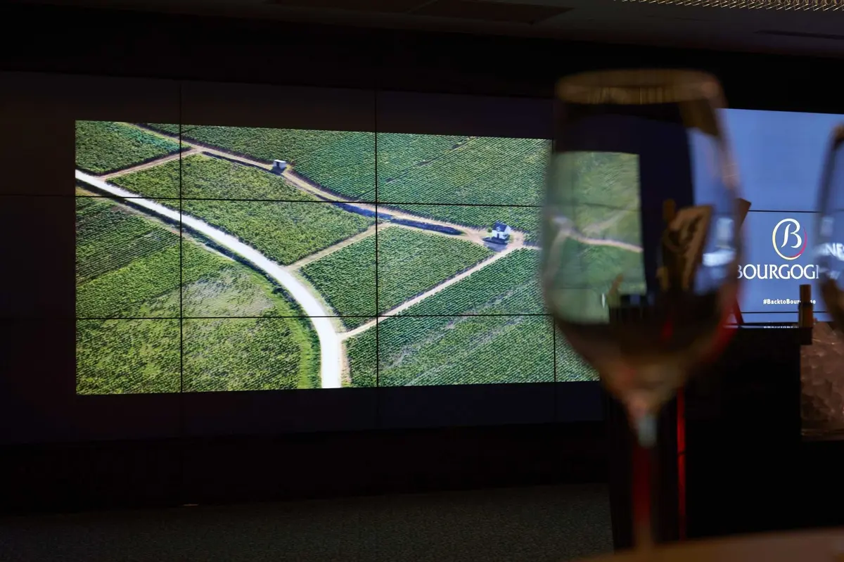 Atelier spécial Saint-Vincent