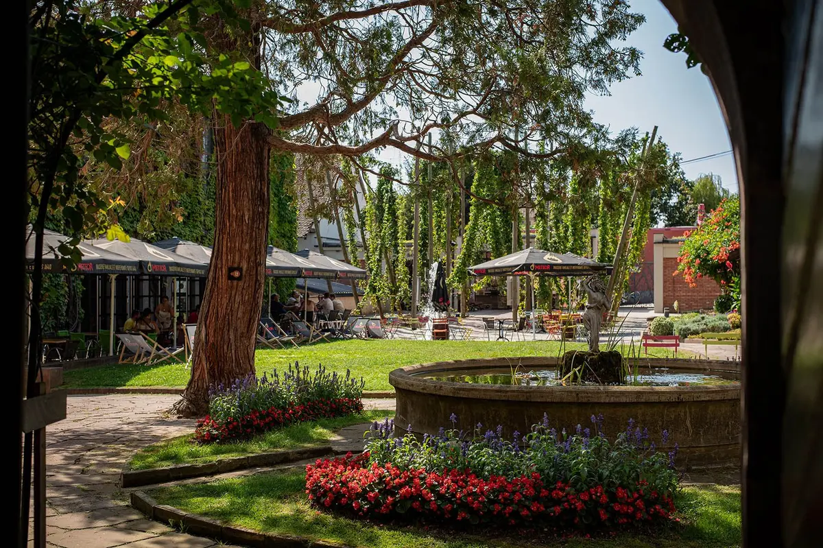 Visite et dégustation de la Villa METEOR