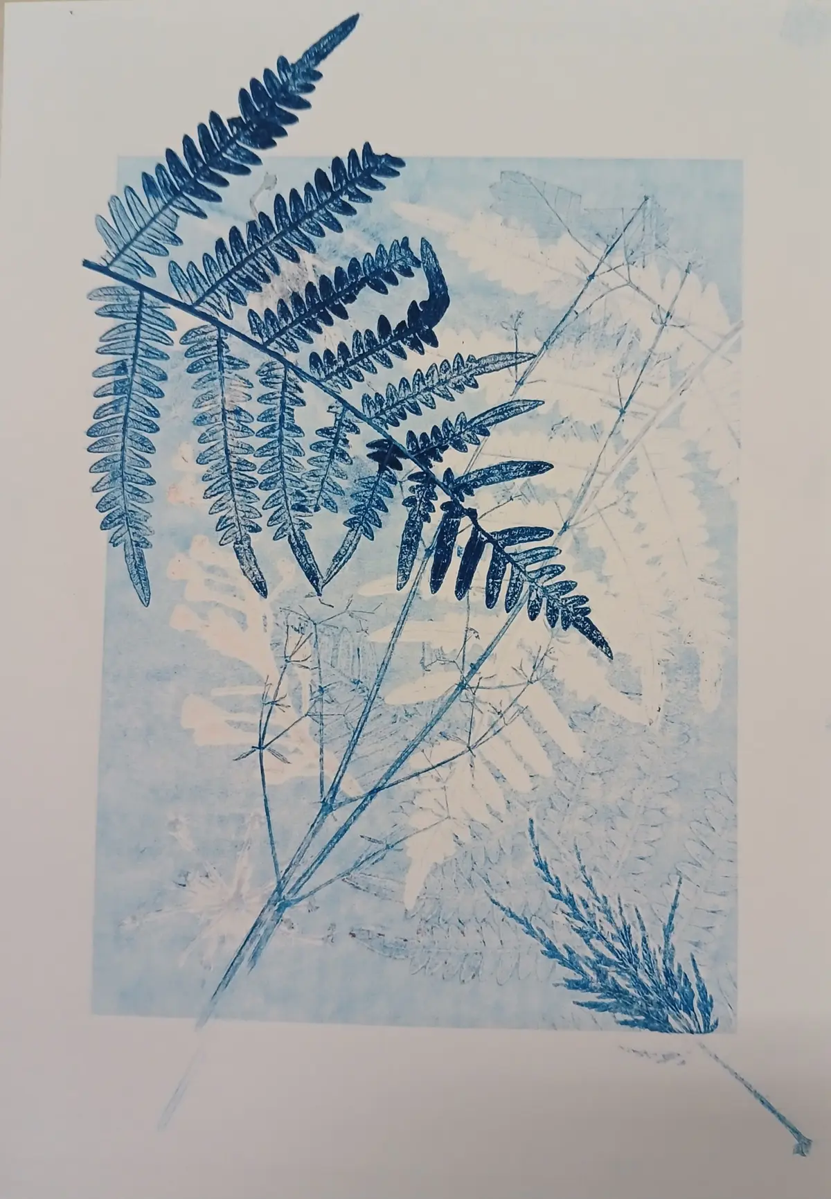Initiation au monotype végétal et à la gravure sur tétra pak . 