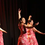 Workshop Danse Tahitienne