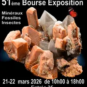 51ème bourse minéraux, fossiles et insectes