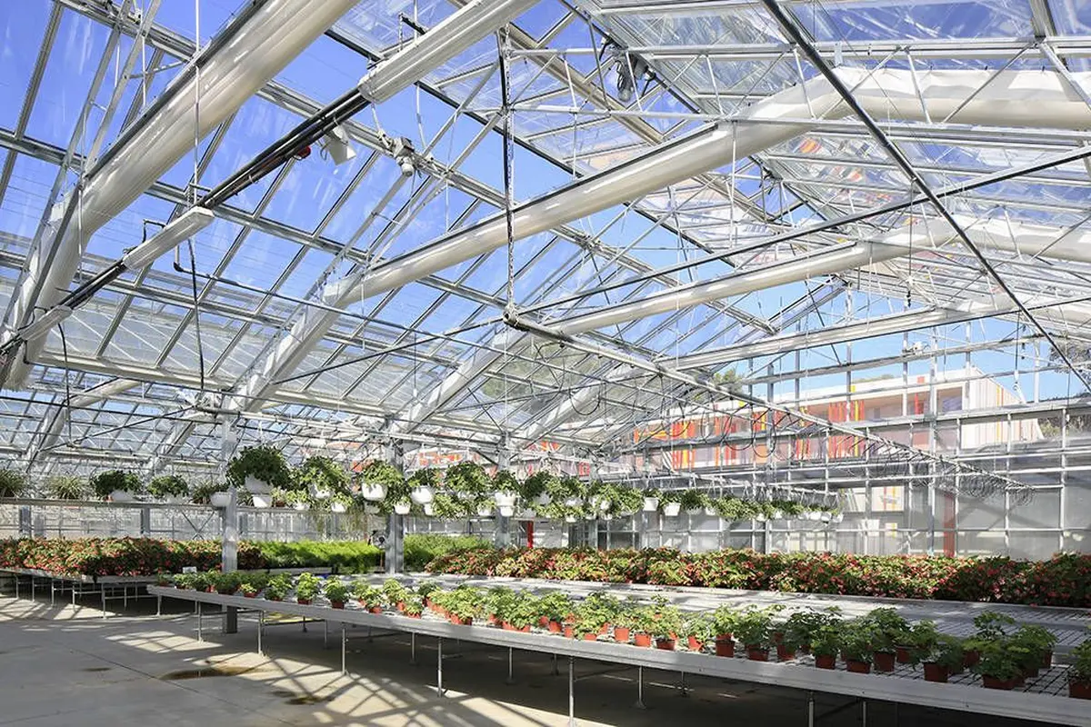 Etre sensible c'est être vivant ! Journée Mondiale de l'art - gratuit