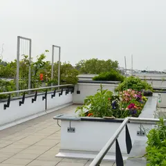 Biodiversité pour tous