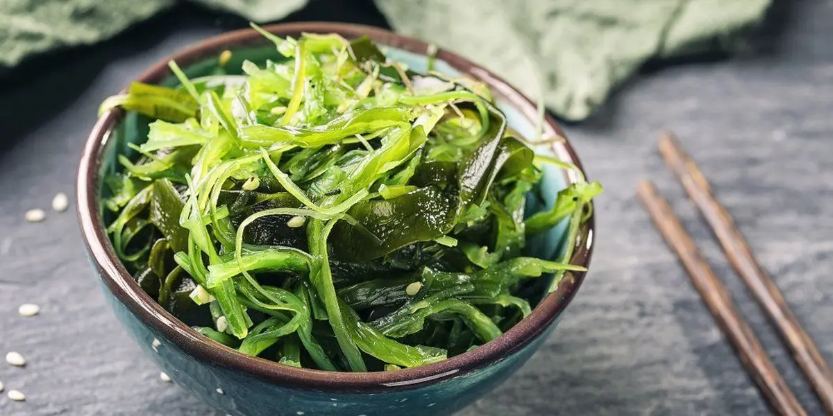 Atelier cuisine d'algues