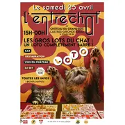 L'entrechat, les gros lots du Chat