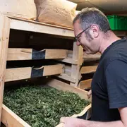 Promenade découverte des plantes sauvages autour du Valtin