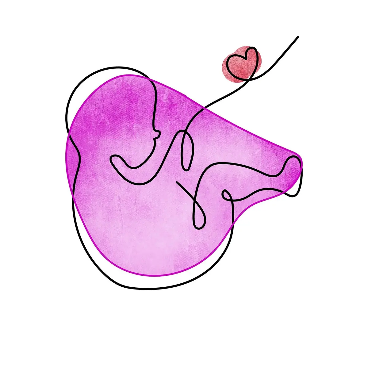 Le chemin de l'embryon