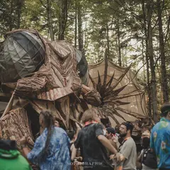 Eciton Gathering