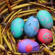 Evènement - Grande chasse aux oeufs