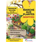 Marché aux plantes
