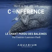 Conférence : Le chant perdu des baleines par l’autrice Laurence Paoli