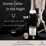 Soirée Cellar in the Night