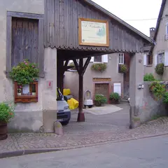 Cave Vielweber