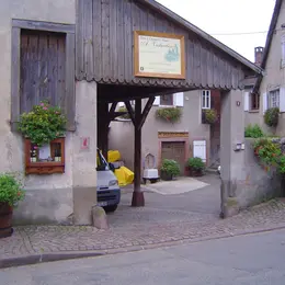 Cave Vielweber