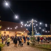 Weihnachtszeit in Seebach