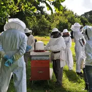 Découverte de l’apiculture avec un apiculteur agréé