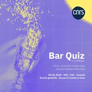 Bar Quiz Scientifique – Où la curiosité compte plus que les bonnes réponses