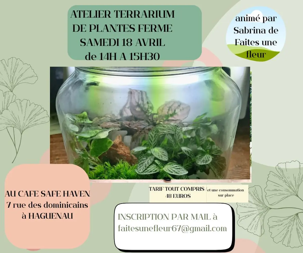 Atelier Terrarium de plantes vertes