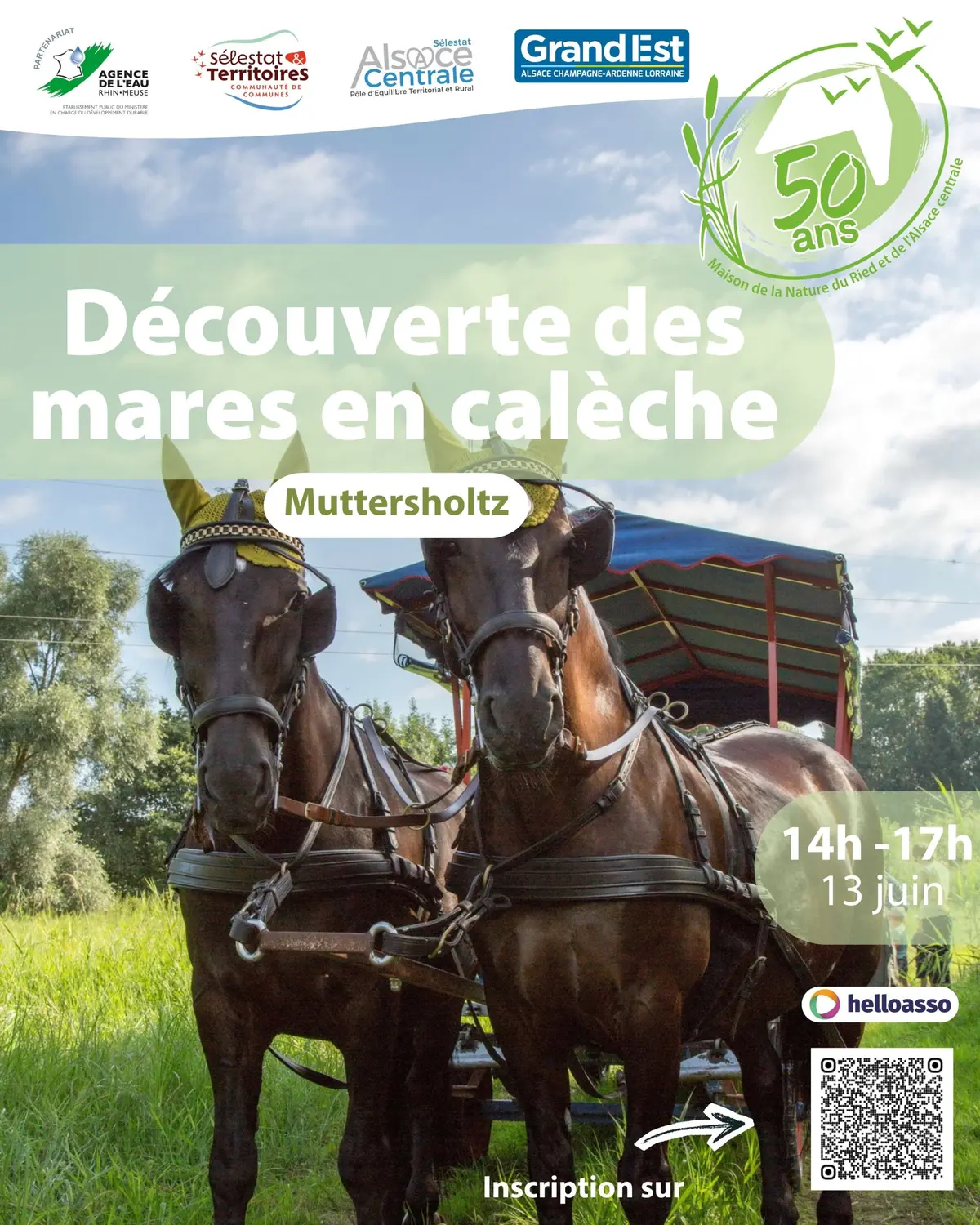 Découverte des mares en calèche
