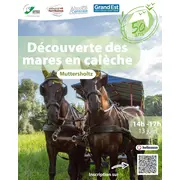 Découverte des mares en calèche