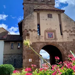 Cernay à travers l’objectif : balade patrimoine & photo