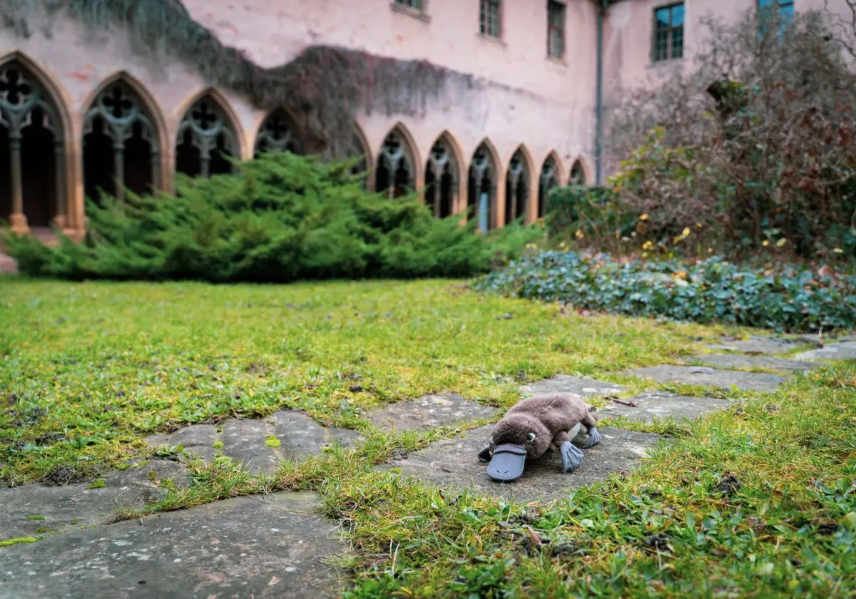 Visite tout-petits | Le voyage de Platypus