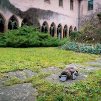 Visite tout-petits | Le voyage de Platypus &copy; Musée Unterlinden