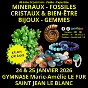 46ème Salon Minéraux Fossiles Gemmes Météorites Cristaux et Bijoux d'Orléans