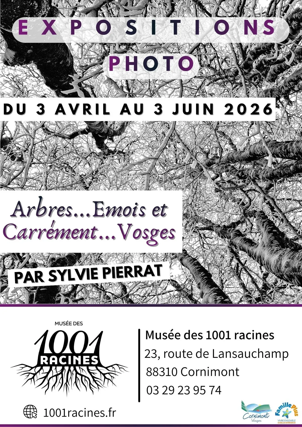 Exposition Arbres...Emois et carrément Vosges