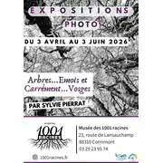 Exposition Arbres...Emois et carrément Vosges